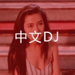 中文DJ│華語實力派Mix